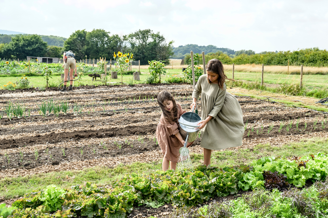 Girls refreshing lettuce growing in market garden