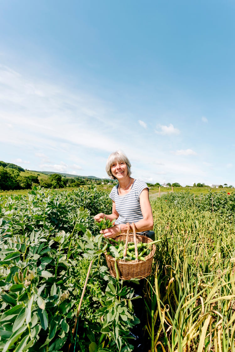 Market gardener